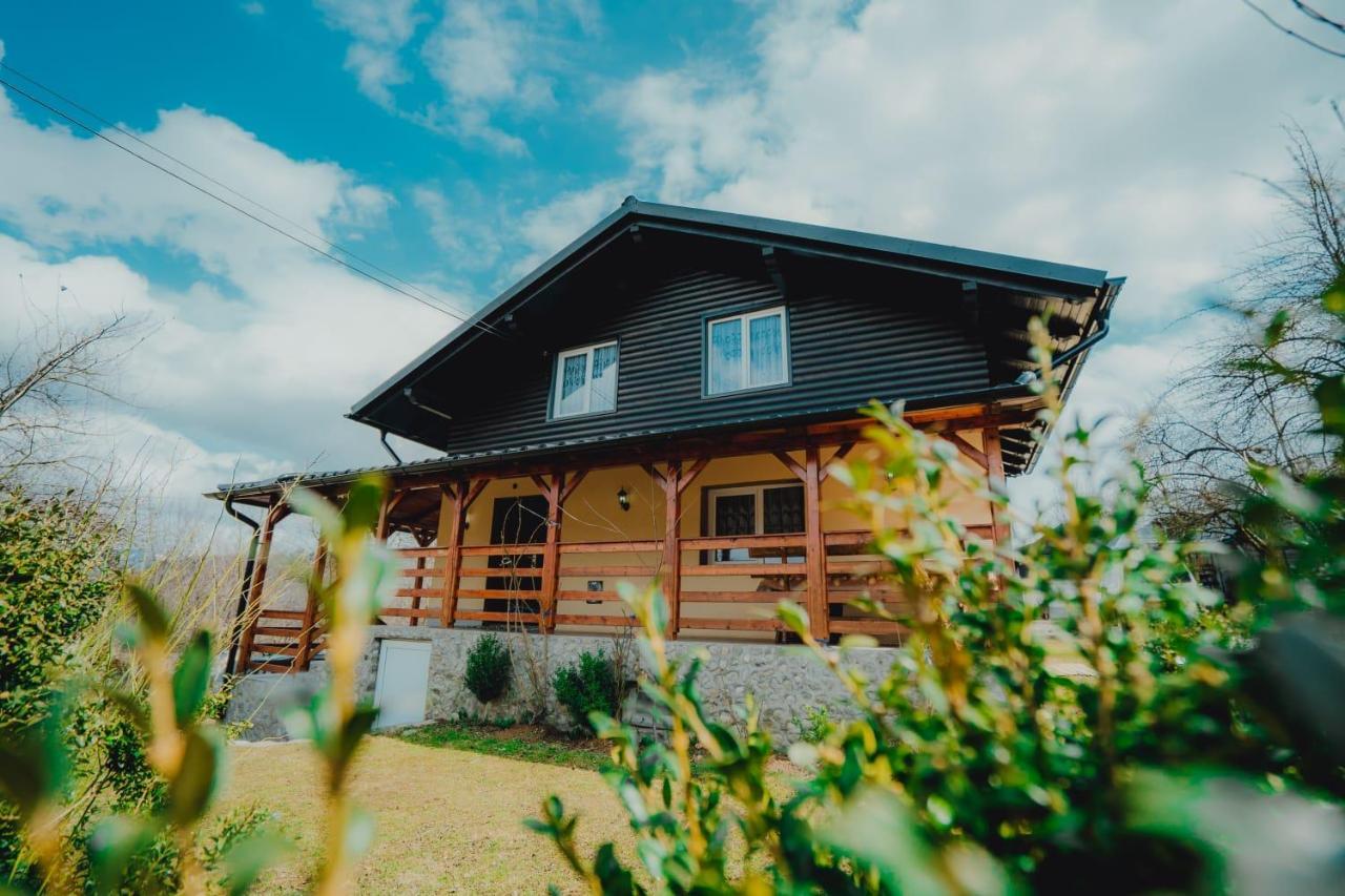 Casa Andreea Si Grigore Ursu Borşa Екстериор снимка