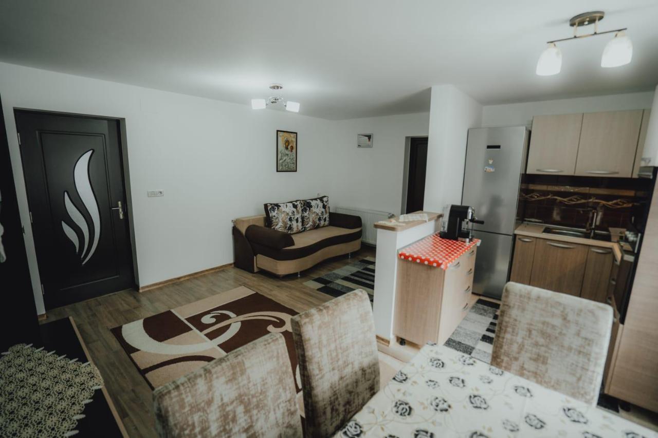 Casa Andreea Si Grigore Ursu Borşa Екстериор снимка
