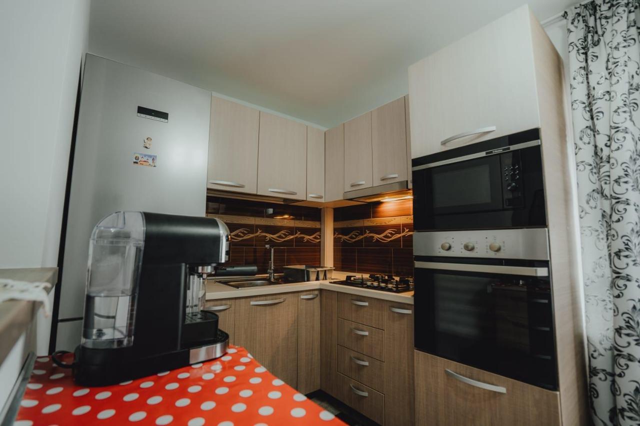 Casa Andreea Si Grigore Ursu Borşa Екстериор снимка
