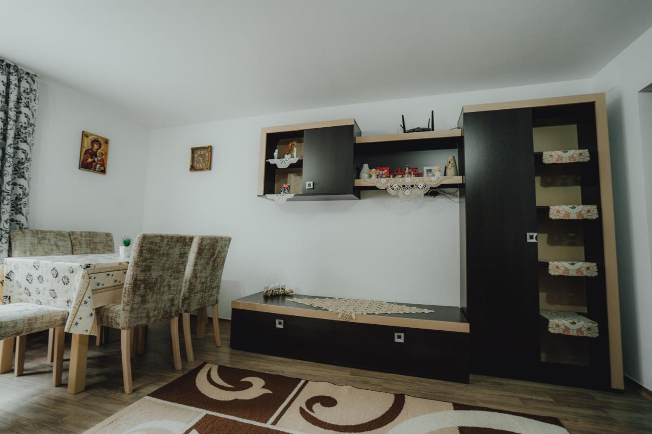Casa Andreea Si Grigore Ursu Borşa Екстериор снимка
