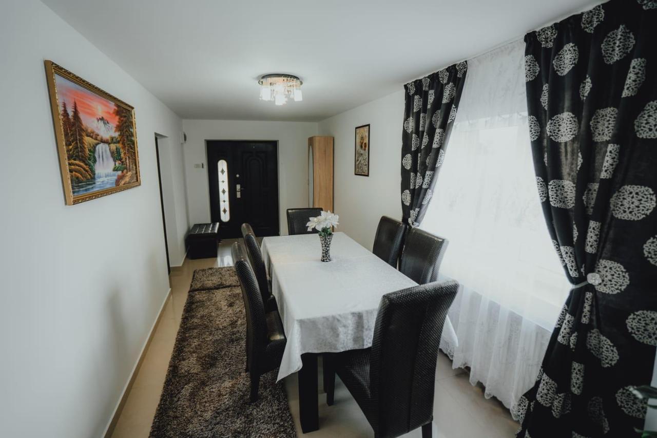 Casa Andreea Si Grigore Ursu Borşa Екстериор снимка