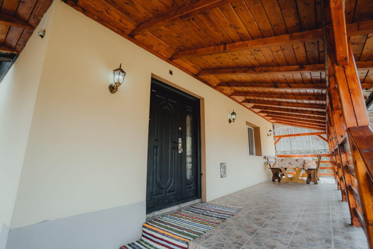 Casa Andreea Si Grigore Ursu Borşa Екстериор снимка