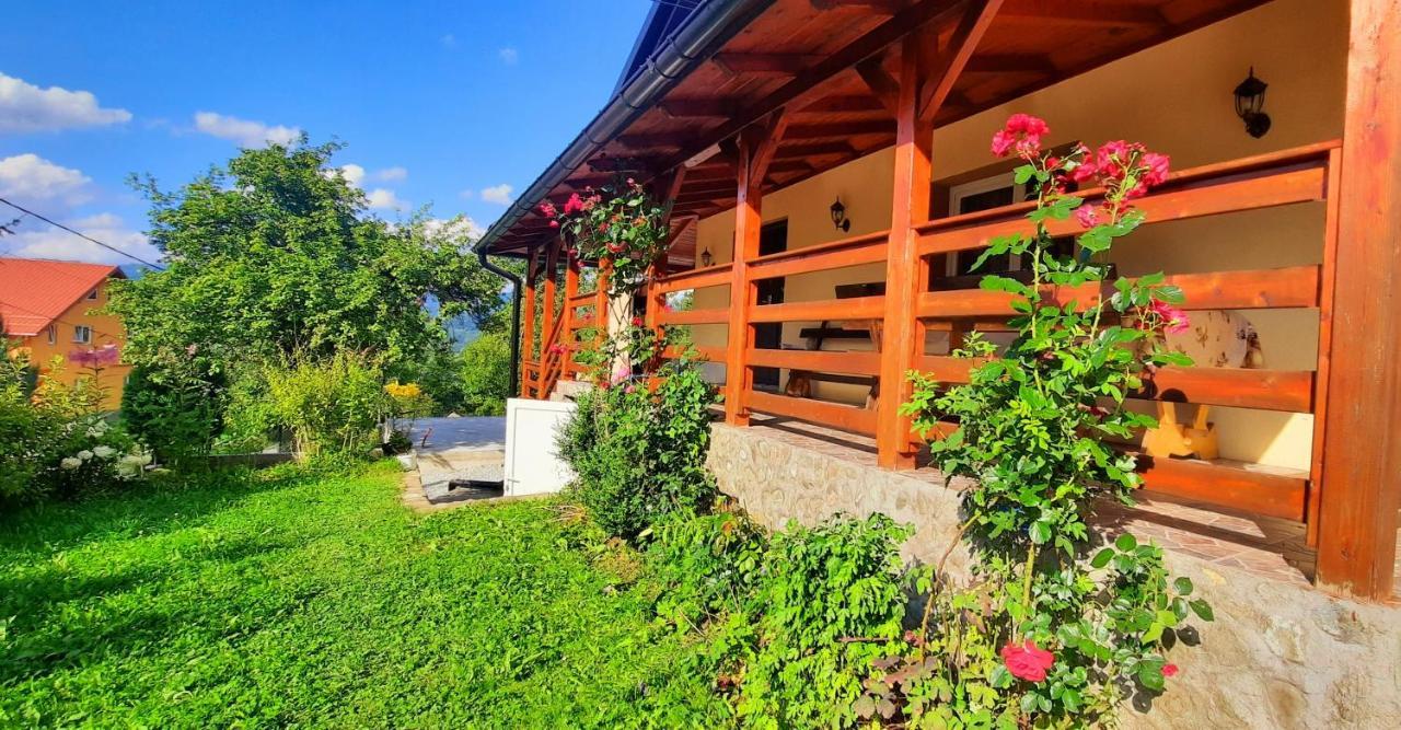 Casa Andreea Si Grigore Ursu Borşa Екстериор снимка