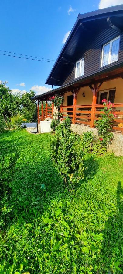 Casa Andreea Si Grigore Ursu Borşa Екстериор снимка