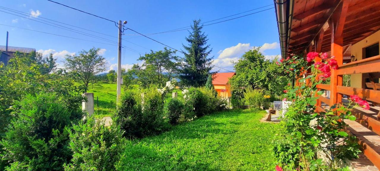 Casa Andreea Si Grigore Ursu Borşa Екстериор снимка